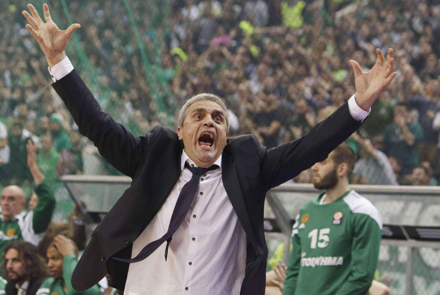 ÐÅÄÏÕËÁÊÇÓ ÐÁÍÁÈÇÍÁÉÊÏÓ - ÏËÕÌÐÉÁÊÏÓ (ÅÕÑÙËÉÃÊÁ 2013-2014) PEDOULAKIS PANATHINAIKOS - OLYMPIAKOS (EUROLEAGUE 2013-2014)